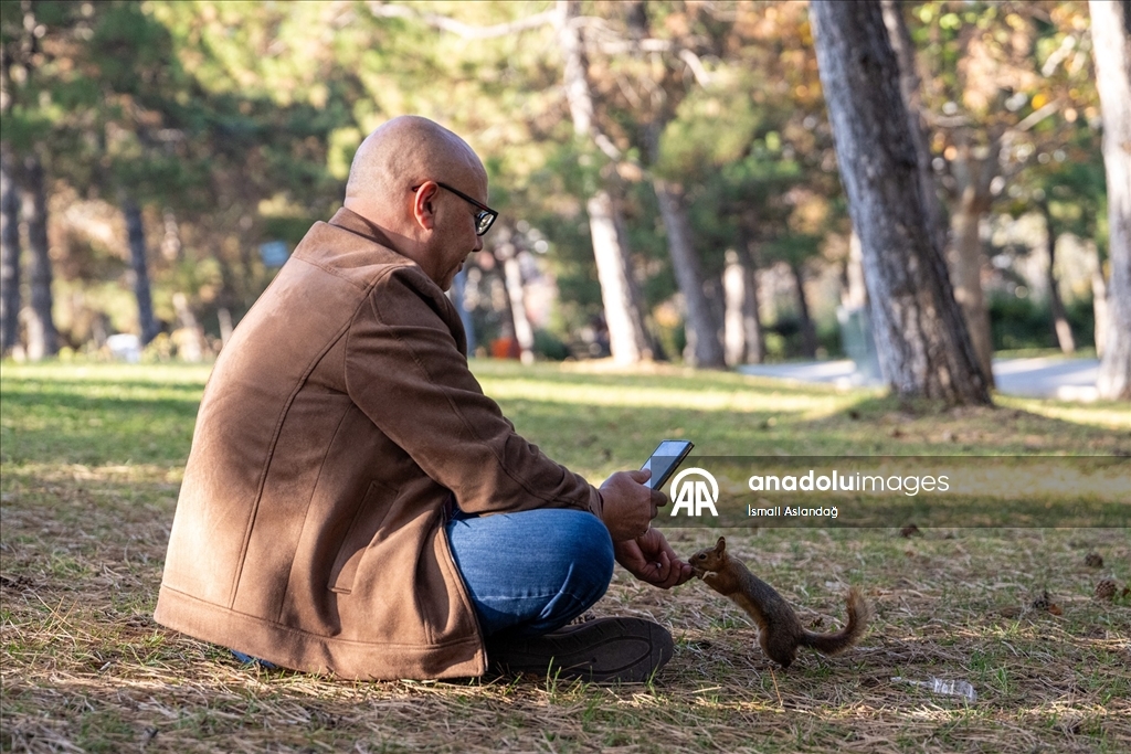 Seğmenler Parkı'nın sevimli sakinleri