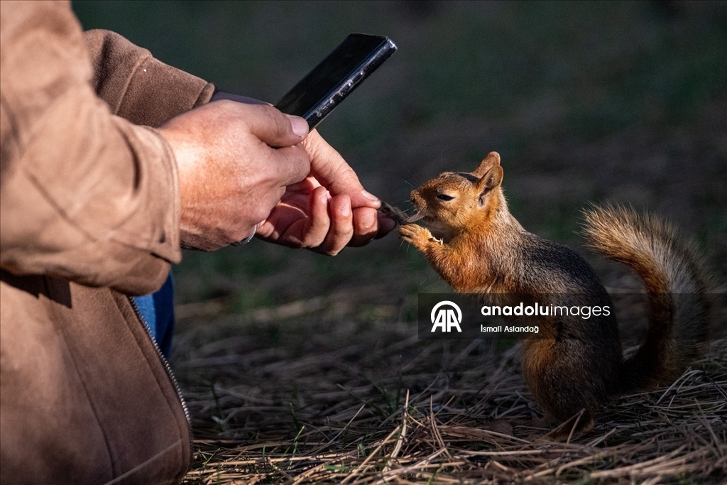 Seğmenler Parkı'nın sevimli sakinleri