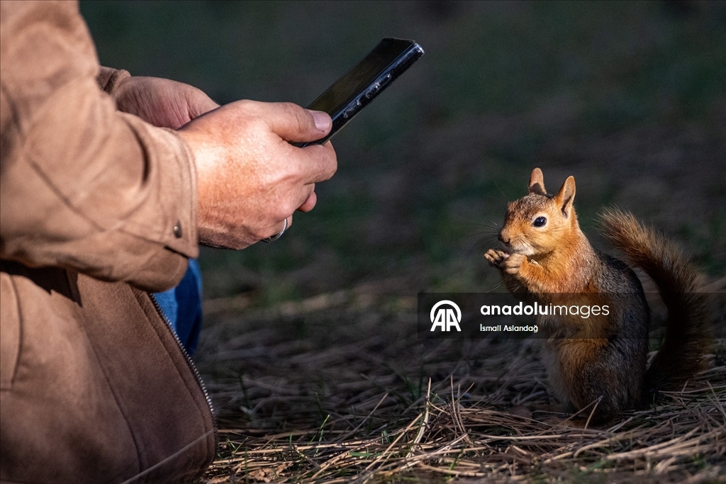 Seğmenler Parkı'nın sevimli sakinleri