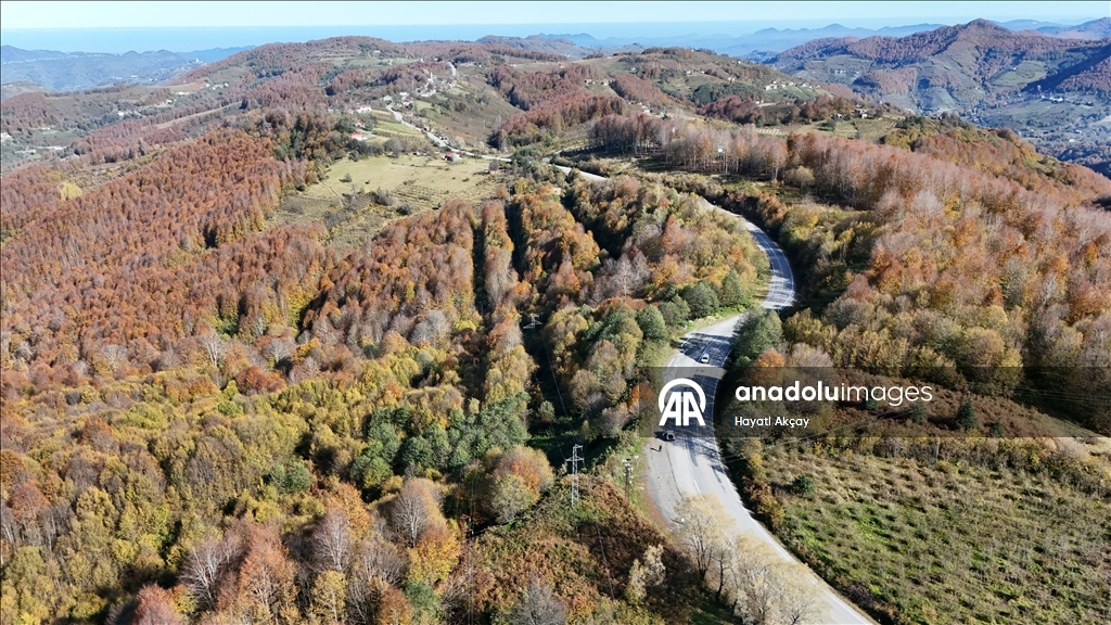 Autumn season in Turkiye's Ordu