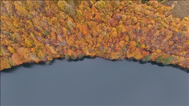Природный парк Улугёль в турецкой провинции Орду окрасился в осенние краски