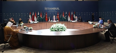 В Стамбуле началась встреча по вопросу Газы с участием главы МИД Турции