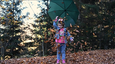 Dağların eteğindeki Hamsiköy oyuk ağaçlarıyla fotoğraf tutkunlarına alternatif sunuyor