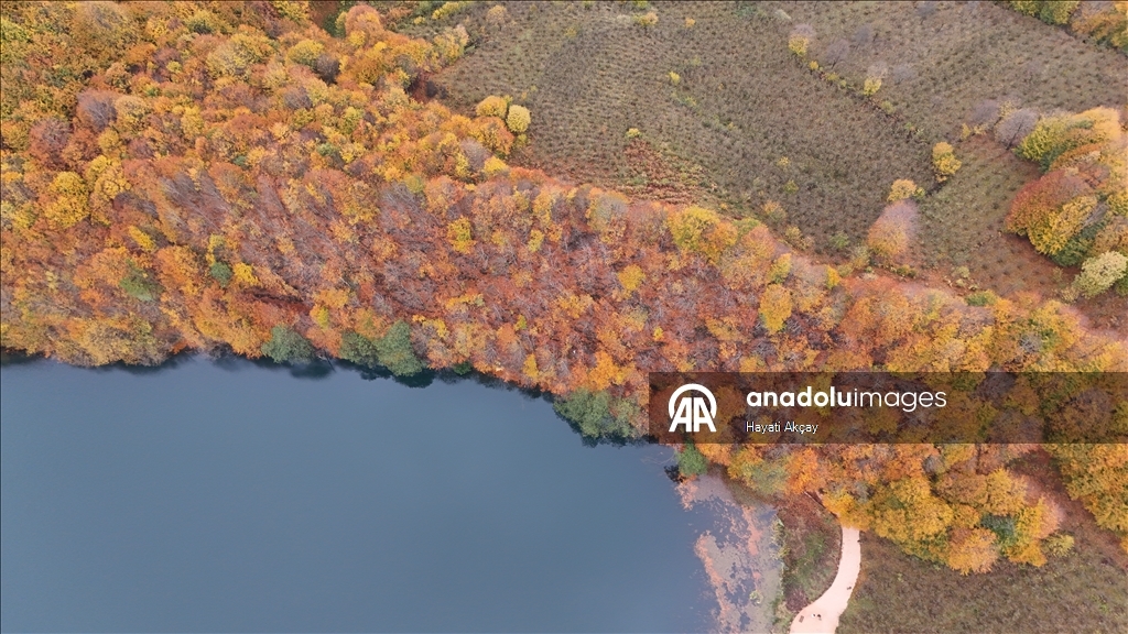 Природный парк Улугёль в турецкой провинции Орду окрасился в осенние краски