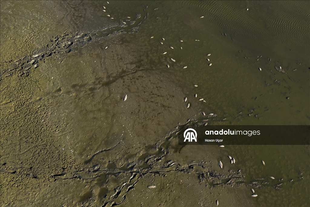 Belevi Gölü, yaşanan kuraklık nedeniyle alarm veriyor