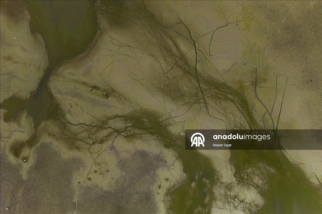 Belevi Gölü, yaşanan kuraklık nedeniyle alarm veriyor