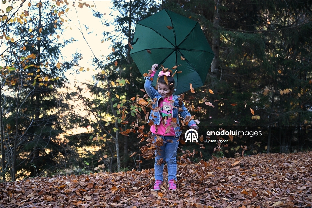 مرتفعات "هامسي كوي".. جمال تزينه ألوان الخريف بتركيا