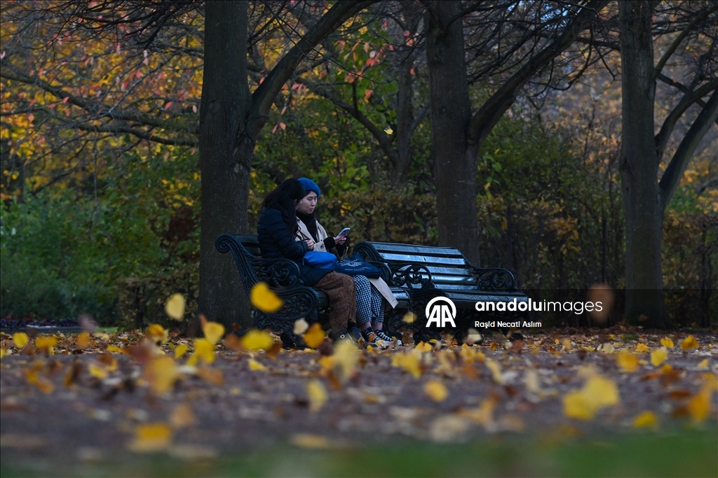 Jesen u punom sjaju: Regent’s Park u Londonu u nijansama zlatne i smeđe boje