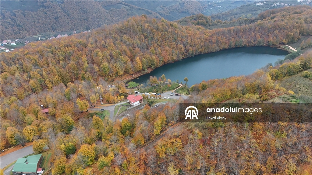 Природный парк Улугёль в турецкой провинции Орду окрасился в осенние краски