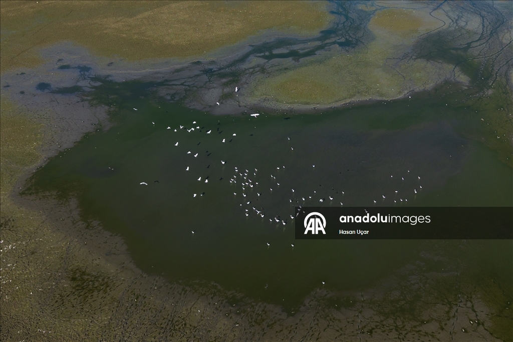 Belevi Gölü, yaşanan kuraklık nedeniyle alarm veriyor