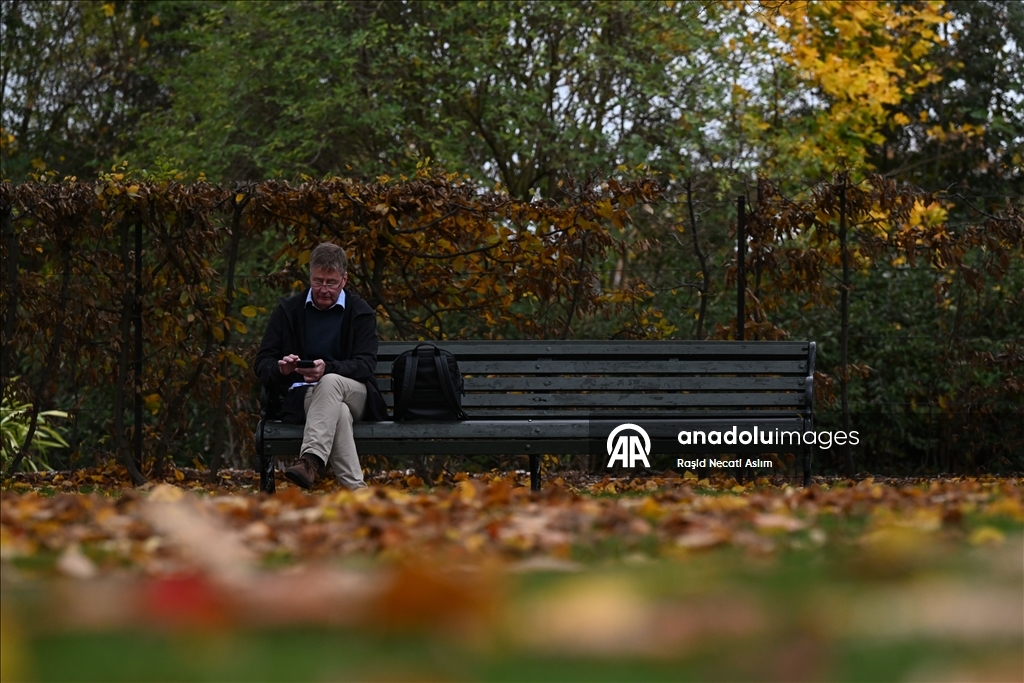 Jesen u punom sjaju: Regent’s Park u Londonu u nijansama zlatne i smeđe boje