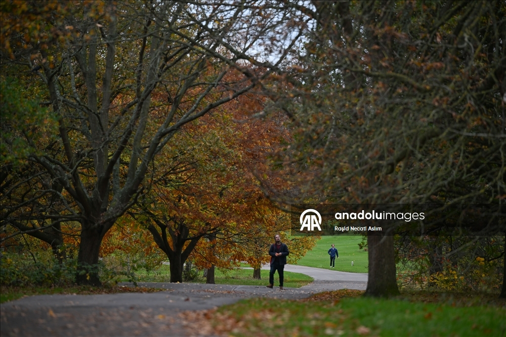 Jesen u punom sjaju: Regent’s Park u Londonu u nijansama zlatne i smeđe boje