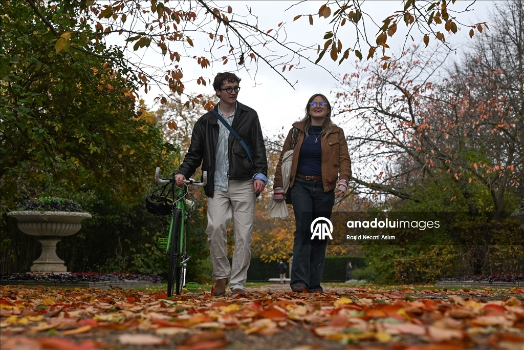 Jesen u punom sjaju: Regent’s Park u Londonu u nijansama zlatne i smeđe boje