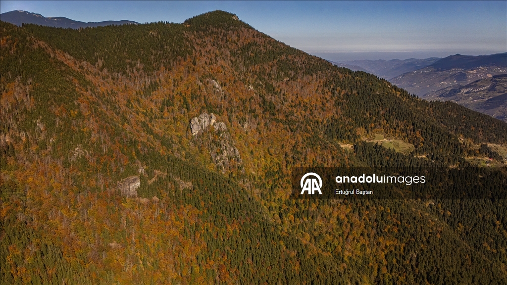 Исторические монастыри Сумела и Вазелон в Трабзоне окрасились в яркие тона осени