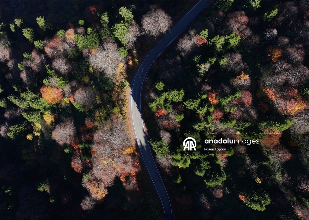 مرتفعات "هامسي كوي".. جمال تزينه ألوان الخريف بتركيا