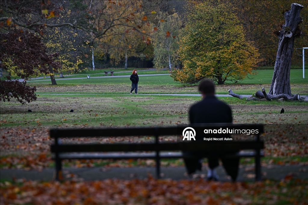 Jesen u punom sjaju: Regent’s Park u Londonu u nijansama zlatne i smeđe boje