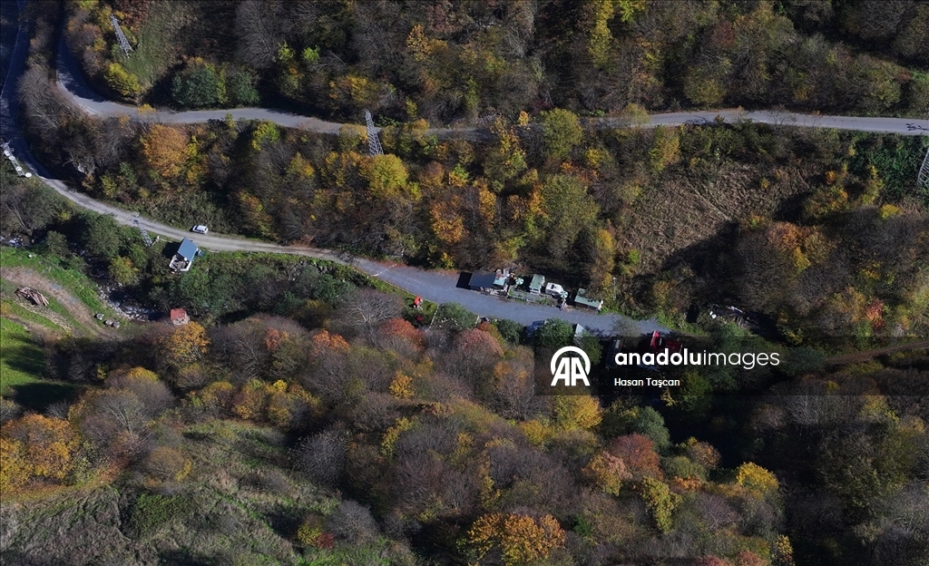 مرتفعات "هامسي كوي".. جمال تزينه ألوان الخريف بتركيا