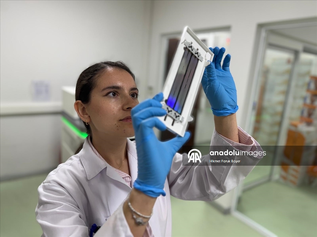 Турецкие ученые выявили 12 генов, определяющих реакцию на лучевую терапию при раке легких