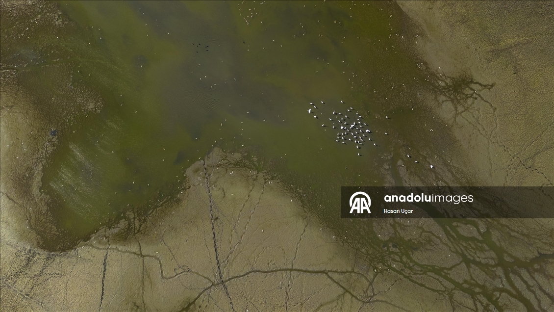 Belevi Gölü, yaşanan kuraklık nedeniyle alarm veriyor