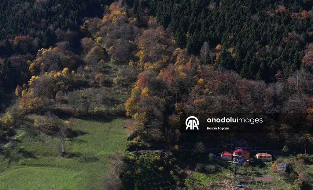مرتفعات "هامسي كوي".. جمال تزينه ألوان الخريف بتركيا