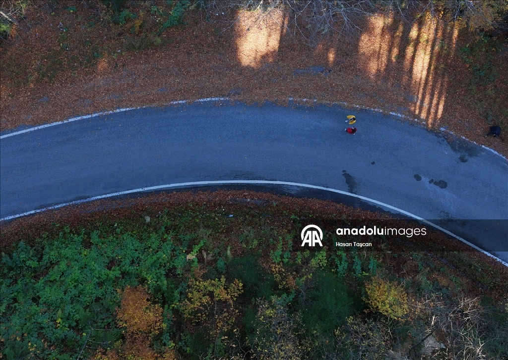 مرتفعات "هامسي كوي".. جمال تزينه ألوان الخريف بتركيا