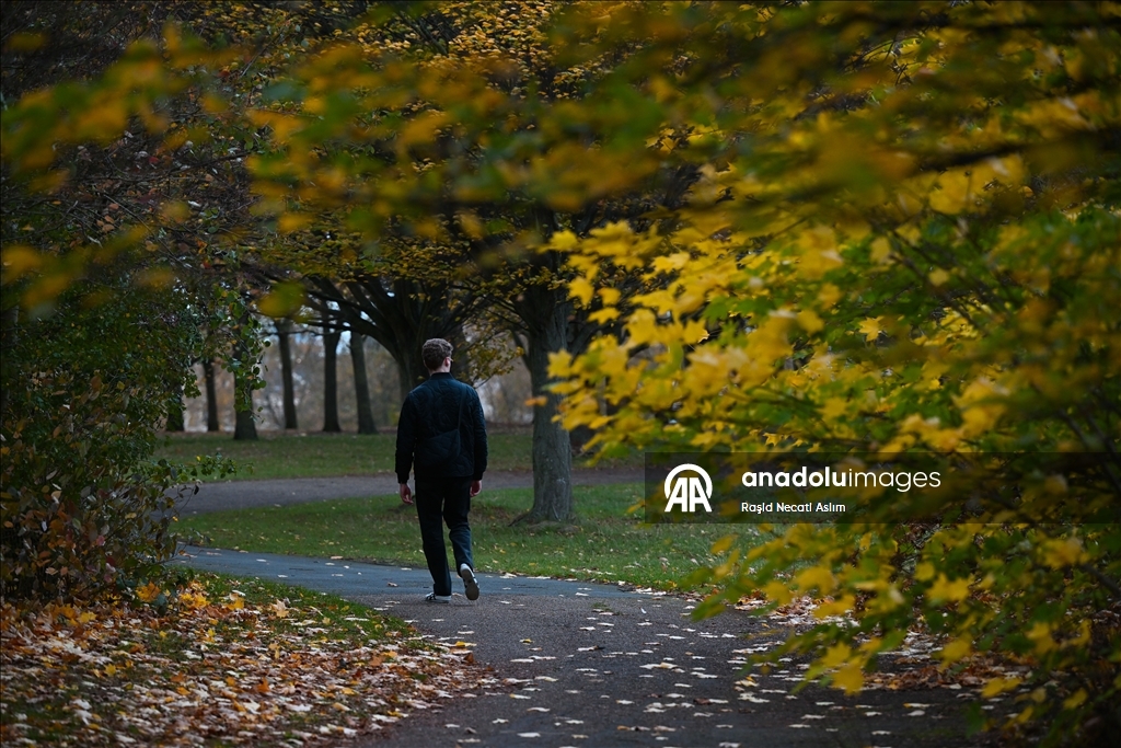 Jesen u punom sjaju: Regent’s Park u Londonu u nijansama zlatne i smeđe boje