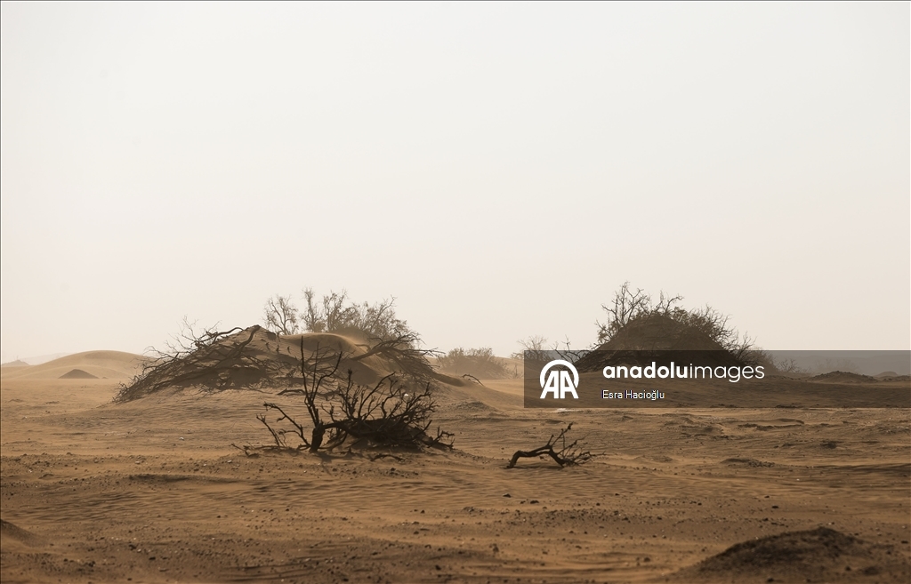 Hicret rotasında manevi yolculuğa çıkan Müslümanlar duygularını anlattı