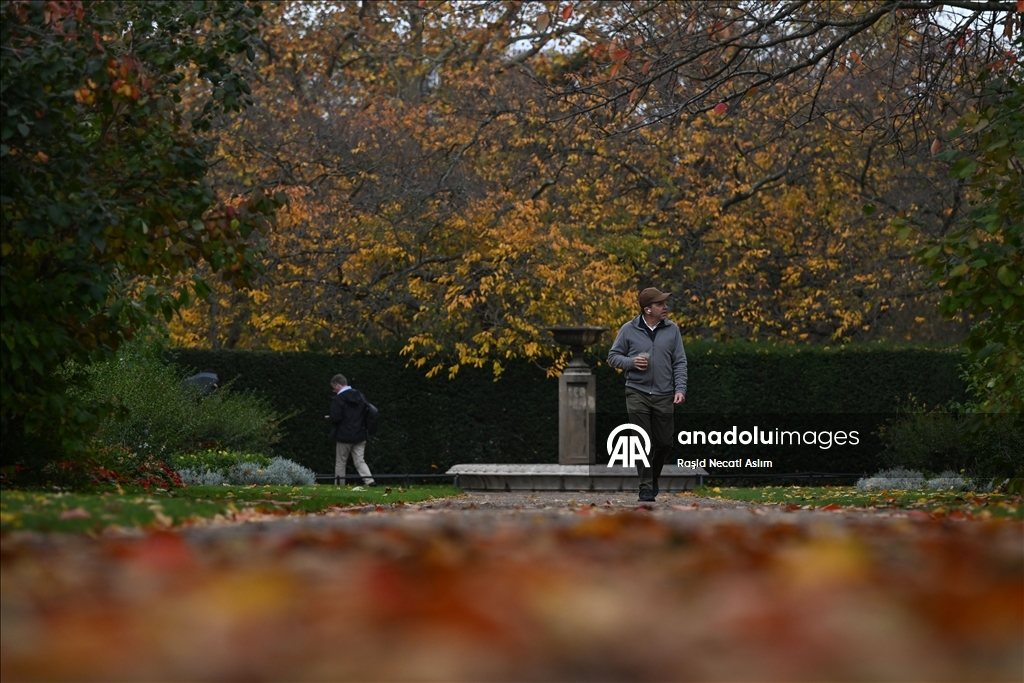 Jesen u punom sjaju: Regent’s Park u Londonu u nijansama zlatne i smeđe boje