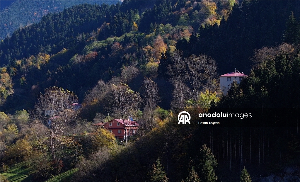 مرتفعات "هامسي كوي".. جمال تزينه ألوان الخريف بتركيا