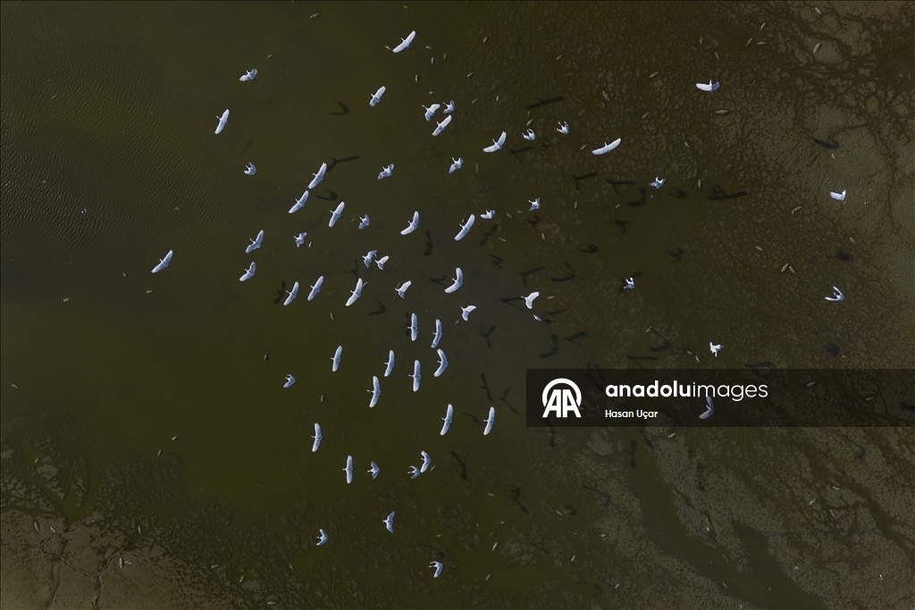 Belevi Gölü, yaşanan kuraklık nedeniyle alarm veriyor