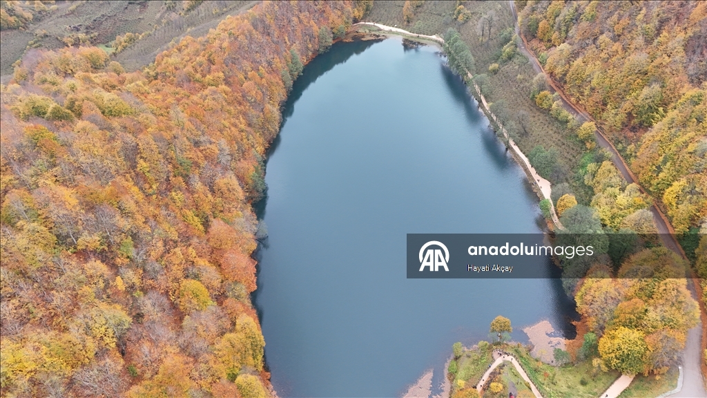 Природный парк Улугёль в турецкой провинции Орду окрасился в осенние краски