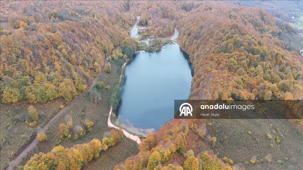 Природный парк Улугёль в турецкой провинции Орду окрасился в осенние краски