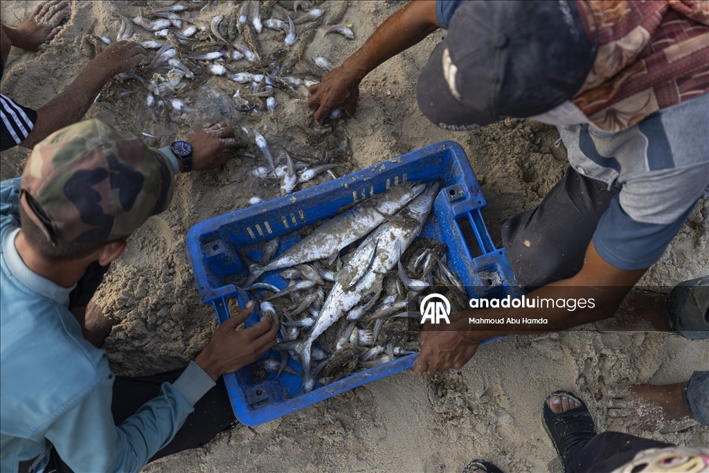 Nuseyrat Mülteci Kampı’nda Filistinli balıkçılar