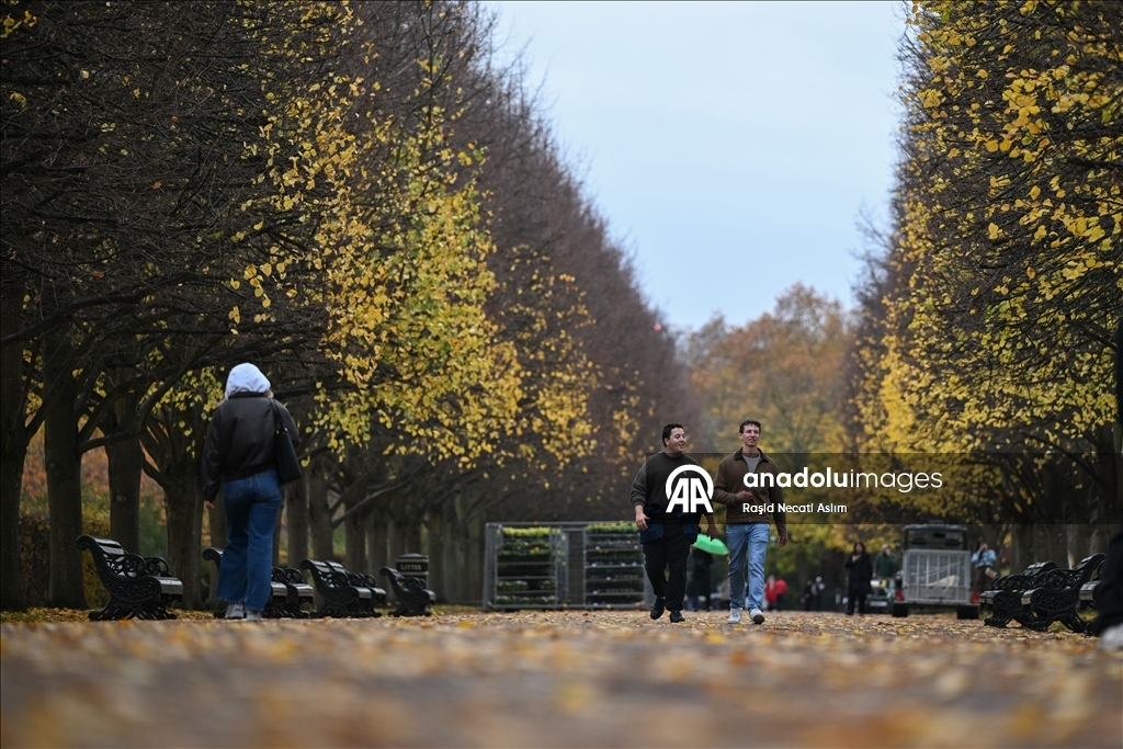 Jesen u punom sjaju: Regent’s Park u Londonu u nijansama zlatne i smeđe boje