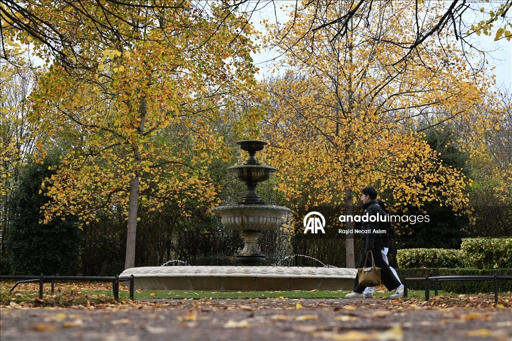 Jesen u punom sjaju: Regent’s Park u Londonu u nijansama zlatne i smeđe boje