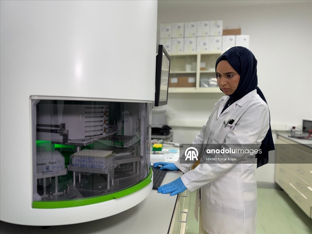 Турецкие ученые выявили 12 генов, определяющих реакцию на лучевую терапию при раке легких