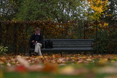 Jesen u punom sjaju: Regent’s Park u Londonu u nijansama zlatne i smeđe boje