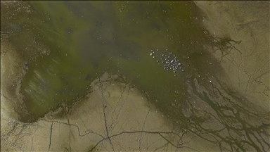 Belevi Gölü, yaşanan kuraklık nedeniyle alarm veriyor