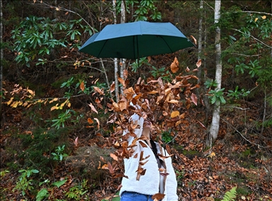 مرتفعات "هامسي كوي".. جمال تزينه ألوان الخريف بتركيا