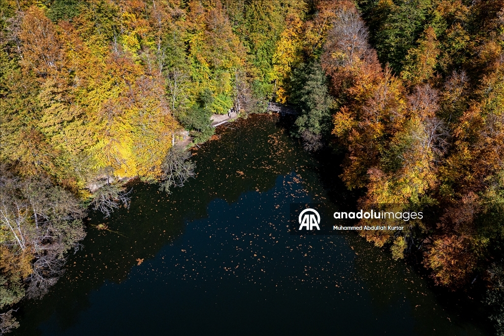 Orman denizi Yedigöller'de sonbahar renkleri