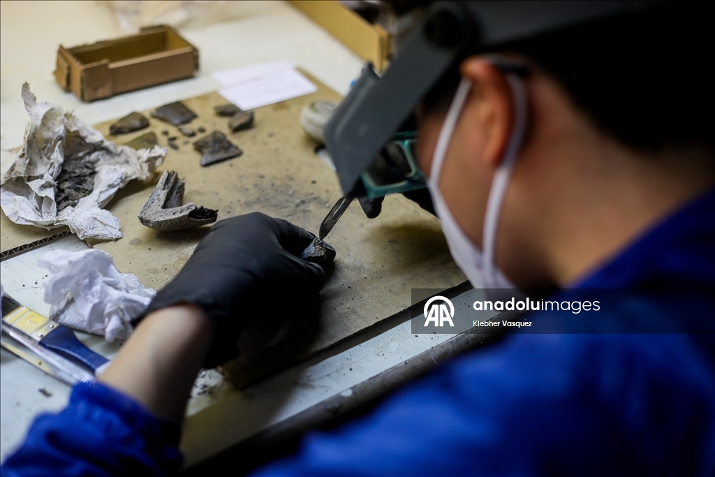 Peruvian scientists restore fossil of a seabird from 20 million years ago