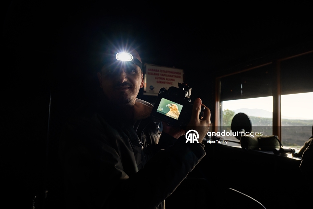 Türkiye’nin tek akbaba istasyonu