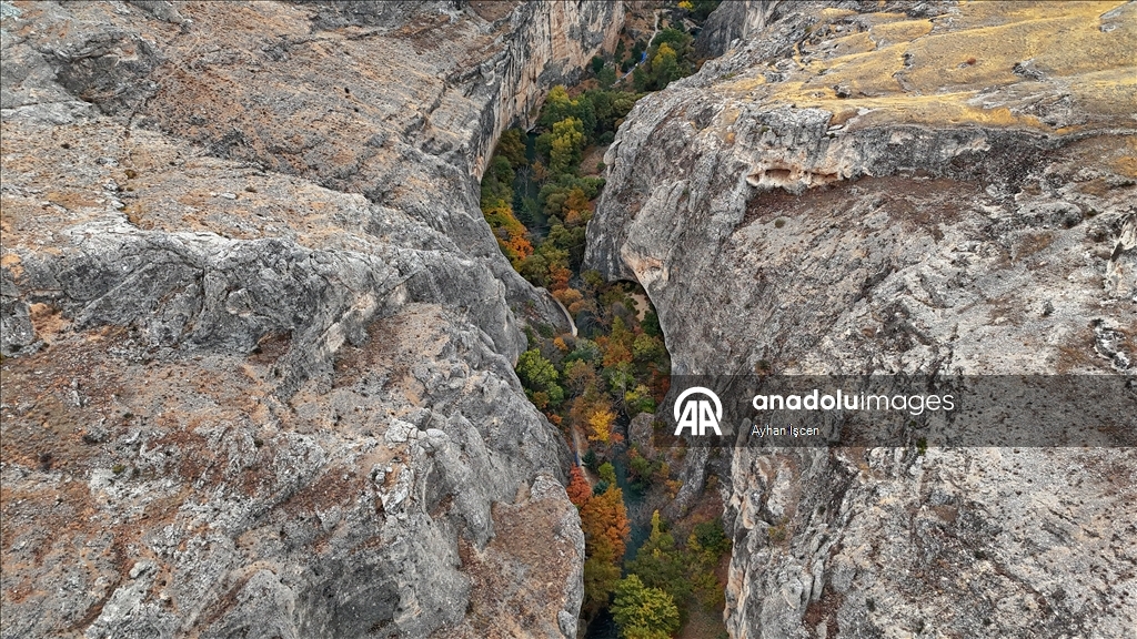 Li Kanyona Tohmayê xemla rengên payîzê