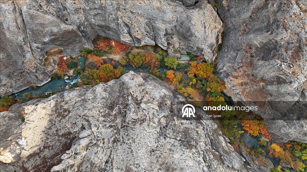 Li Kanyona Tohmayê xemla rengên payîzê