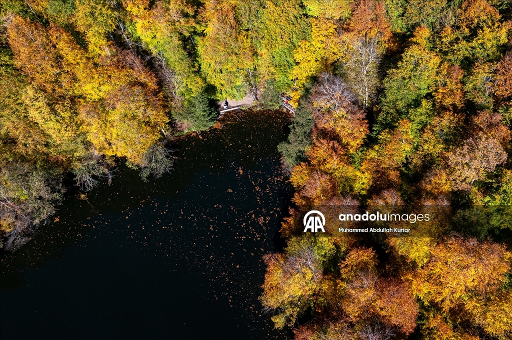 Orman denizi Yedigöller'de sonbahar renkleri
