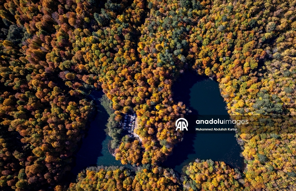 Orman denizi Yedigöller'de sonbahar renkleri