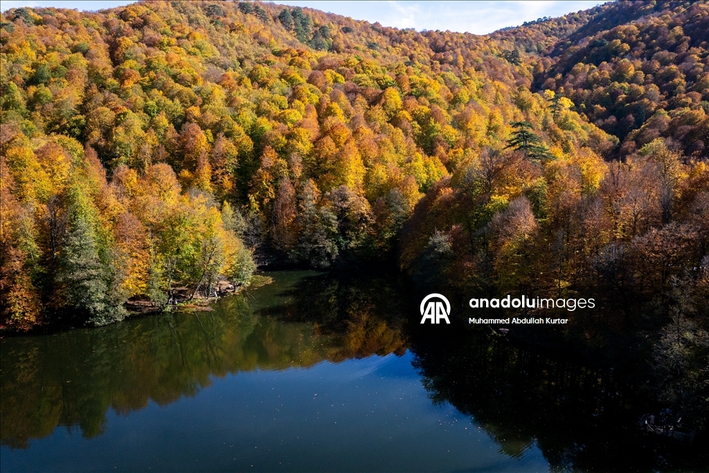 Orman denizi Yedigöller'de sonbahar renkleri