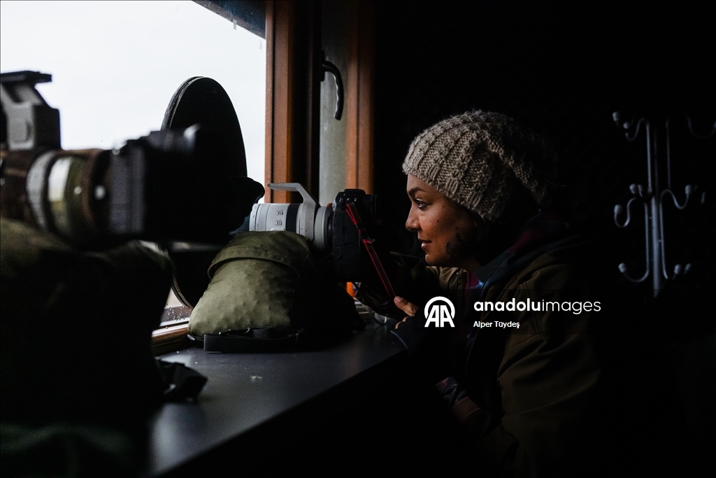 Türkiye’nin tek akbaba istasyonu