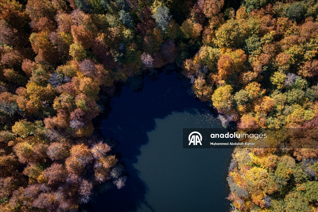 Orman denizi Yedigöller'de sonbahar renkleri