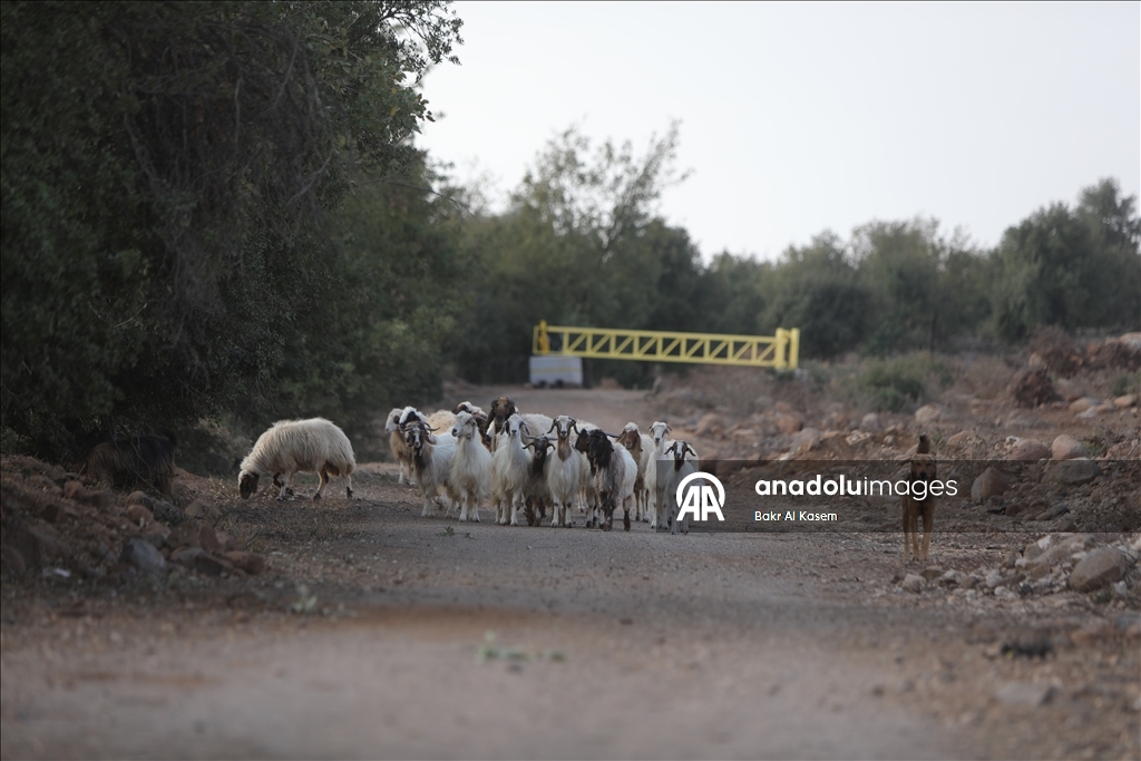 Israeli army continues violations in Syria's Quneitra province